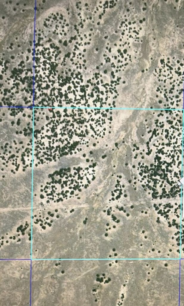 Large view of 40.64 ACRES IN GORGEOUS LAS ANIMAS COUNTY, COLORADO ~ TREED PROPERTY IN THE HILLS NEAR NEW MEXICO BORDER. Photo 2