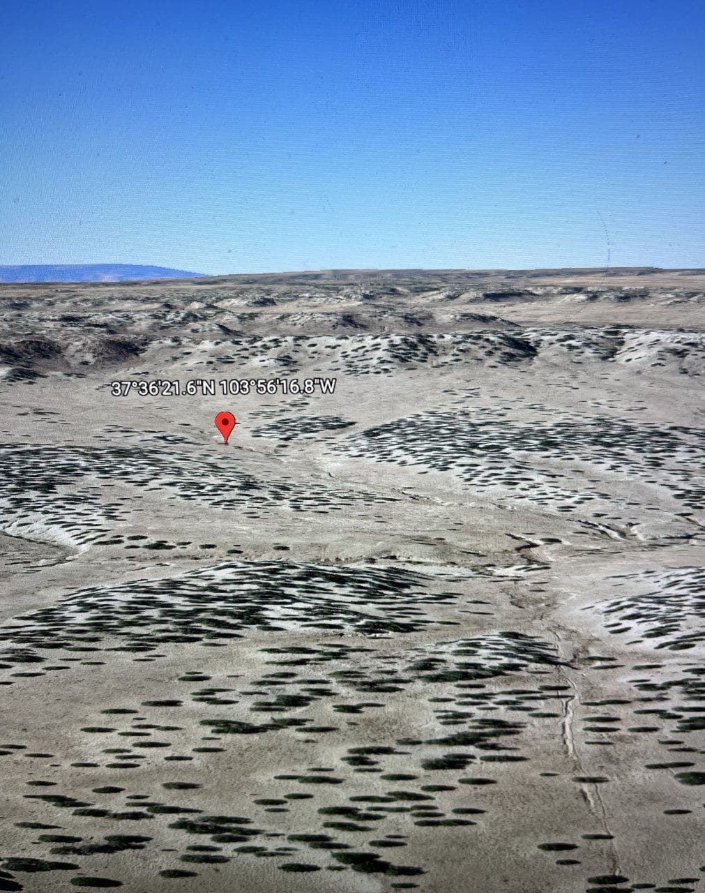 40.64 ACRES IN GORGEOUS LAS ANIMAS COUNTY, COLORADO ~ TREED PROPERTY IN THE HILLS NEAR NEW MEXICO BORDER. photo 6