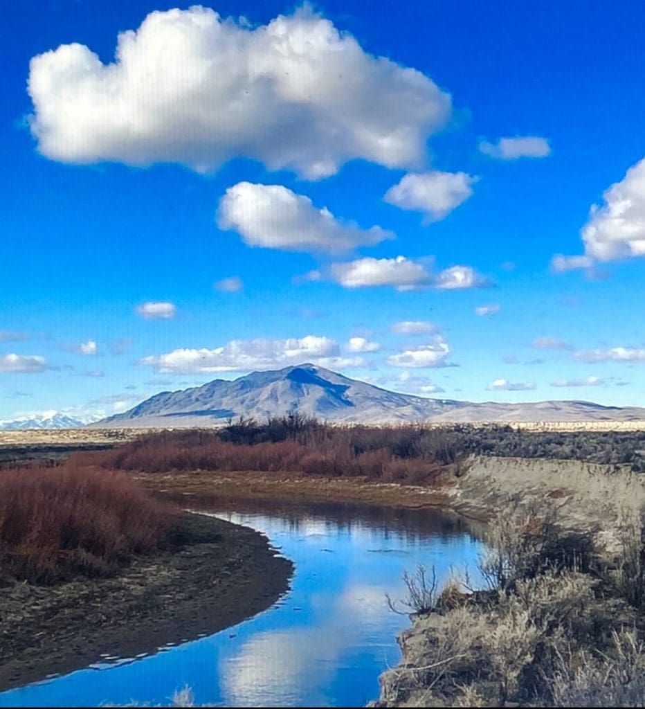 Large view of Gorgeous 40.460 Acre Humboldt Riverfront Property with Conservation road access near Black Rock Desert Photo 12
