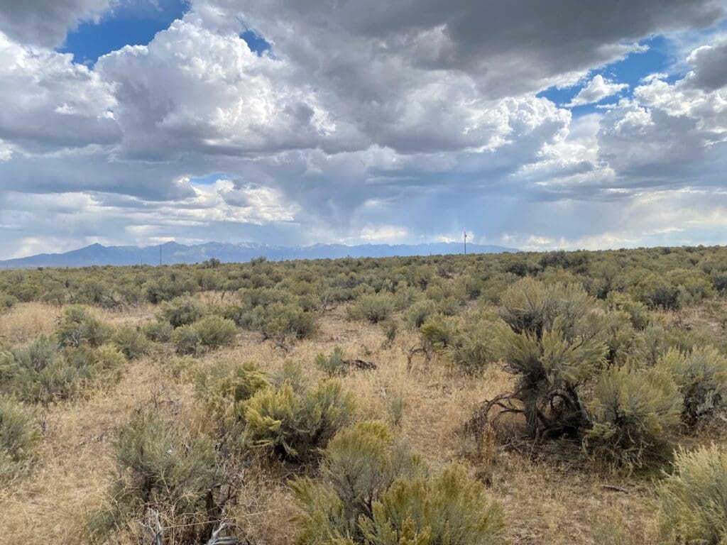 Large view of 1.26 Acre Ranchette Elko Nevada With Fabulous Views Of The Ruby Mountains & Humboldt Peak 11,025 Ft Photo 7