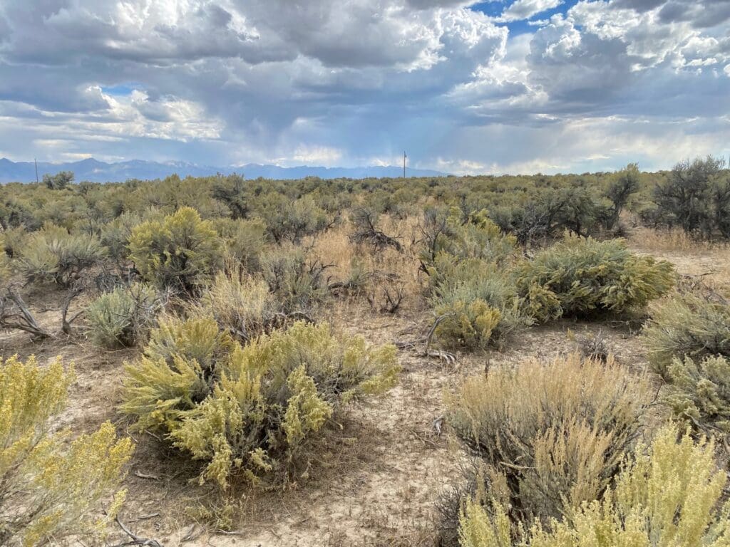 Large view of 1.26 Acre Ranchette Elko Nevada With Fabulous Views Of The Ruby Mountains & Humboldt Peak 11,025 Ft Photo 16