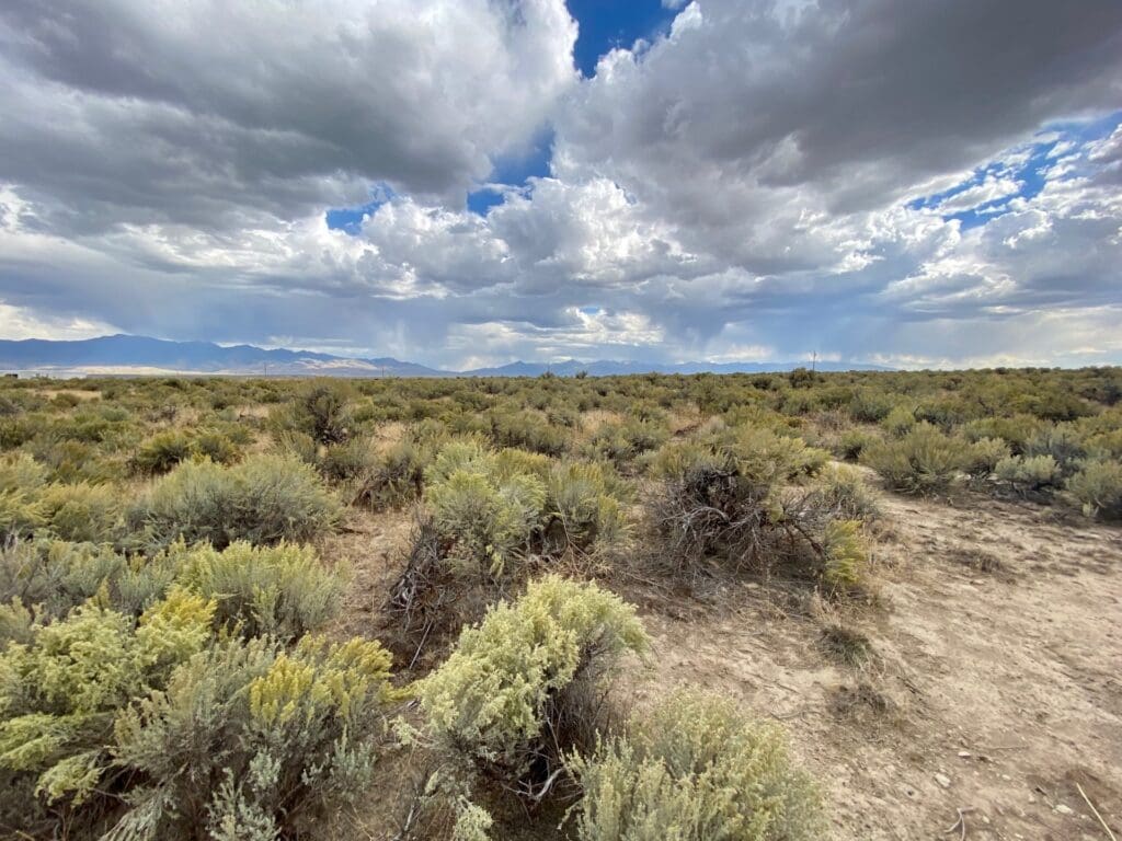 Large view of 1.26 Acre Ranchette Elko Nevada With Fabulous Views Of The Ruby Mountains & Humboldt Peak 11,025 Ft Photo 27