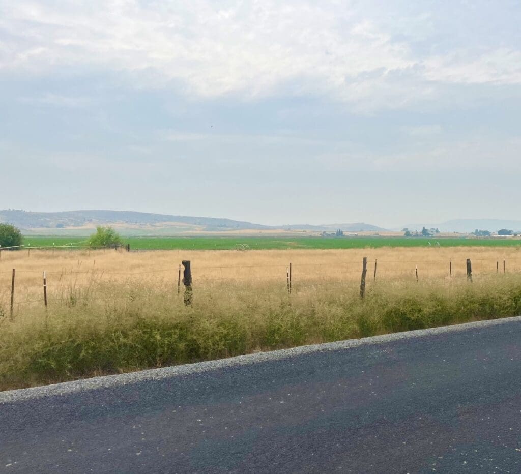 Large view of 2.72 ACRES IN GORGEOUS KLAMATH COUNTY, OREGON ~ LOST RIVER FRONTAGE/HIGHWAY FRONT IN BEAUTIFUL MERRILL Photo 16