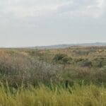 Thumbnail of INVESTORS DELIGHT BEAUTIFUL FOURPLEX ON PIONEER TRAIL NEAR STATELINE NEVADA AND CASINOS WITH GREAT CASH FLOW & INFLATION HEDGE!! Photo 6