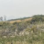 Thumbnail of 2.14 ACRES ON THE GORGEOUS LOST RIVER WITH HIGHWAY FRONTAGE ~ MERRILL, OREGON. 5***** Photo 16