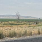 Thumbnail of 2.14 ACRES ON THE GORGEOUS LOST RIVER WITH HIGHWAY FRONTAGE ~ MERRILL, OREGON. 5***** Photo 11