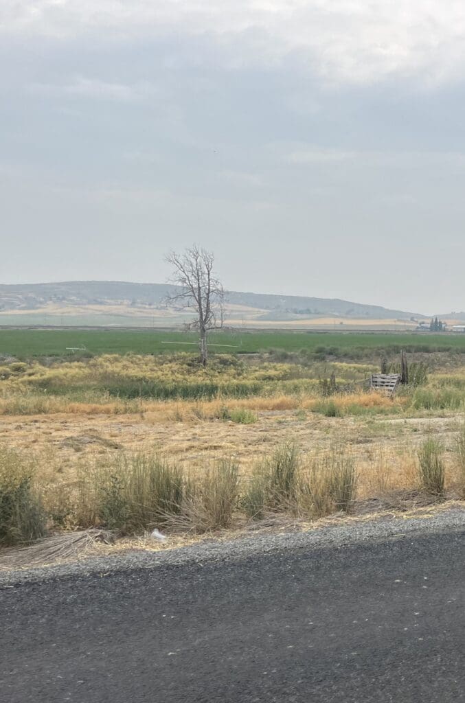 Large view of 2.14 ACRES ON THE GORGEOUS LOST RIVER WITH HIGHWAY FRONTAGE ~ MERRILL, OREGON. 5***** Photo 11