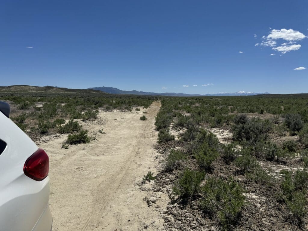 Large view of 60.00 GORGEOUS ACRES IN PINE VALLEY, NEVADA WITH PINE CREEK RUNNING THU IT ~ ELK, DEER, ANTELOPE + MORE ~EXCLUSIVE AREA! Photo 15