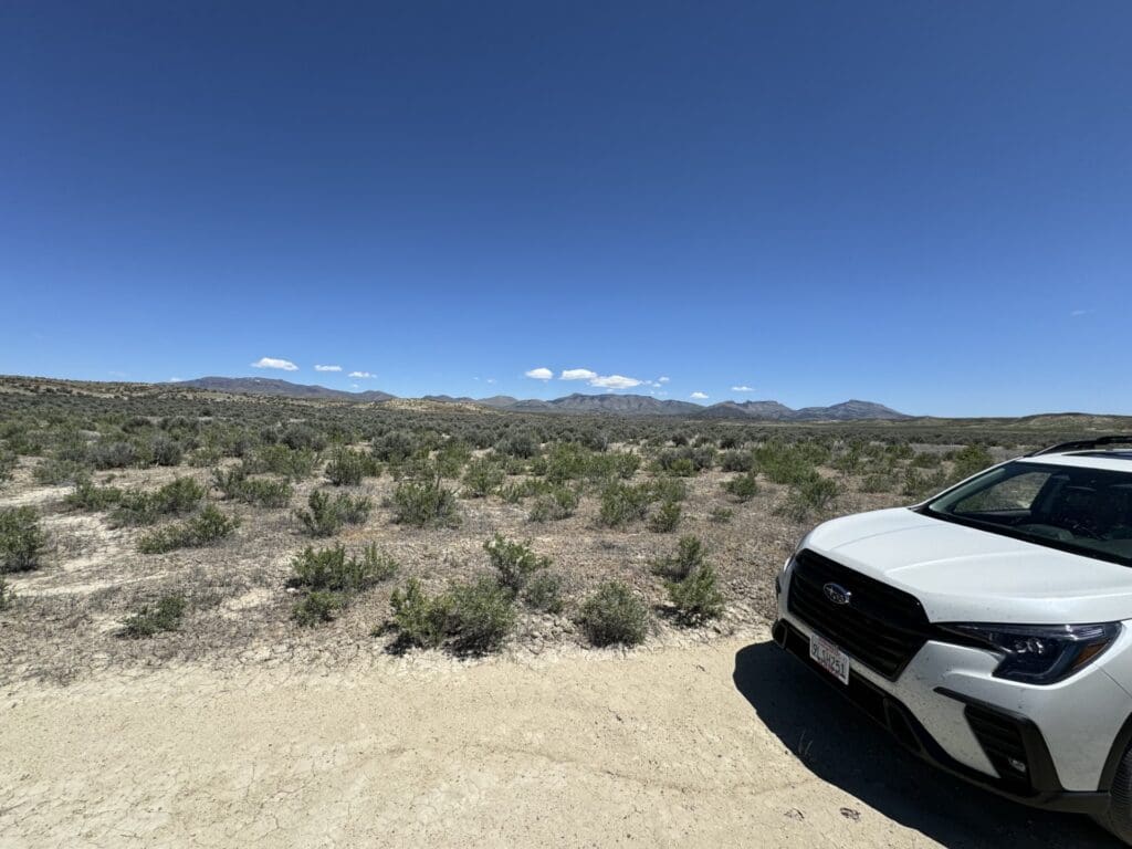 Large view of 60.00 GORGEOUS ACRES IN PINE VALLEY, NEVADA WITH PINE CREEK RUNNING THU IT ~ ELK, DEER, ANTELOPE + MORE ~EXCLUSIVE AREA! Photo 9