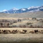 Thumbnail of .164 ACRE IN SALMON RIVER MEADOWS-IDAHO LAND FOR SALE FEET FROM THE FAMOUS SALMON RIVER~VIEWS, FISHING & BIG GAME Photo 20