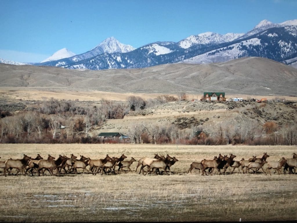 Large view of .164 ACRE IN SALMON RIVER MEADOWS-IDAHO LAND FOR SALE FEET FROM THE FAMOUS SALMON RIVER~VIEWS, FISHING & BIG GAME Photo 20