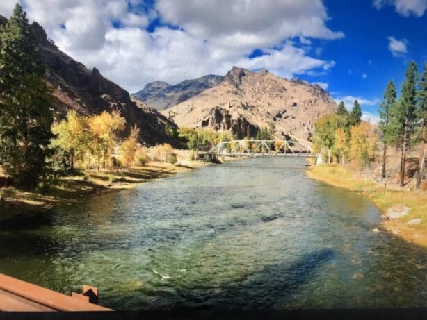 .164 ACRE IN SALMON RIVER MEADOWS-IDAHO LAND FOR SALE FEET FROM THE FAMOUS SALMON RIVER~VIEWS, FISHING & BIG GAME