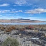 Thumbnail of 9.83 GORGEOUS ACRES OVERLOOKING WALKER LAKE, CREEK & FRONTS HWY 95 WITH AMAZING VIEWS, POWER, EASY ACCESS, FOOTSTEPS TO WATER EGDE. Photo 33