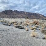 Thumbnail of 9.83 GORGEOUS ACRES OVERLOOKING WALKER LAKE, CREEK & FRONTS HWY 95 WITH AMAZING VIEWS, POWER, EASY ACCESS, FOOTSTEPS TO WATER EGDE. Photo 31