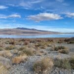 Thumbnail of 9.83 GORGEOUS ACRES OVERLOOKING WALKER LAKE, CREEK & FRONTS HWY 95 WITH AMAZING VIEWS, POWER, EASY ACCESS, FOOTSTEPS TO WATER EGDE. Photo 28