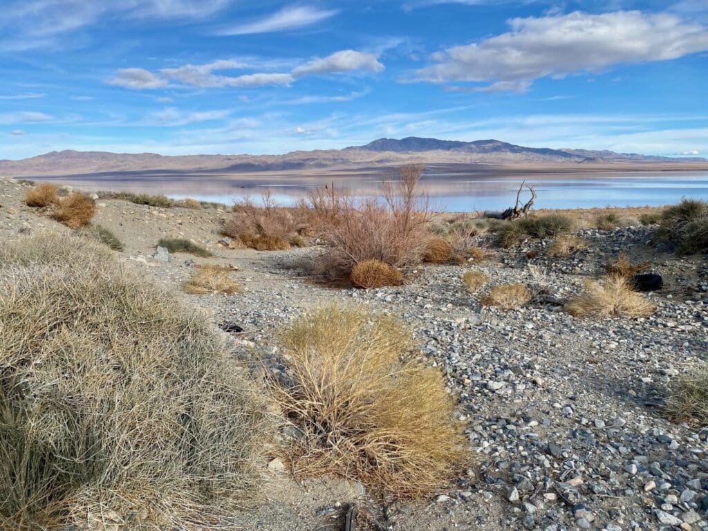 Large view of 9.83 GORGEOUS ACRES OVERLOOKING WALKER LAKE, CREEK & FRONTS HWY 95 WITH AMAZING VIEWS, POWER, EASY ACCESS, FOOTSTEPS TO WATER EGDE. Photo 25