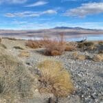 Thumbnail of 9.83 GORGEOUS ACRES OVERLOOKING WALKER LAKE, CREEK & FRONTS HWY 95 WITH AMAZING VIEWS, POWER, EASY ACCESS, FOOTSTEPS TO WATER EGDE. Photo 25