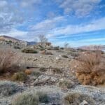 Thumbnail of 9.83 GORGEOUS ACRES OVERLOOKING WALKER LAKE, CREEK & FRONTS HWY 95 WITH AMAZING VIEWS, POWER, EASY ACCESS, FOOTSTEPS TO WATER EGDE. Photo 40