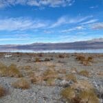 Thumbnail of 9.83 GORGEOUS ACRES OVERLOOKING WALKER LAKE, CREEK & FRONTS HWY 95 WITH AMAZING VIEWS, POWER, EASY ACCESS, FOOTSTEPS TO WATER EGDE. Photo 42