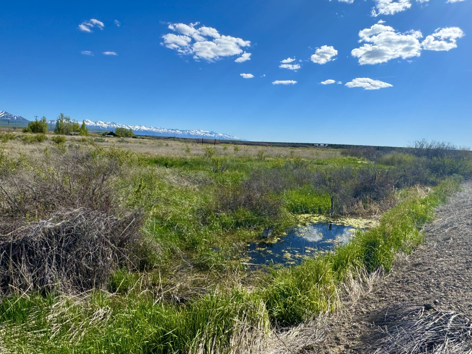 PREMIUM LOT IN DEETH, NEVADA ~ IN STARR VALLEY ON STARR LANE ~ SUPER RARE ~ EASY ACCESS OFF I-80 ~ NEAR WELLS photo 6