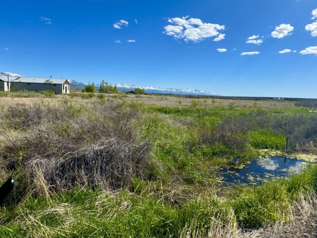 Large view of PREMIUM LOT IN DEETH, NEVADA ~ IN STARR VALLEY ON STARR LANE ~ SUPER RARE ~ EASY ACCESS OFF I-80 ~ NEAR WELLS Photo 5