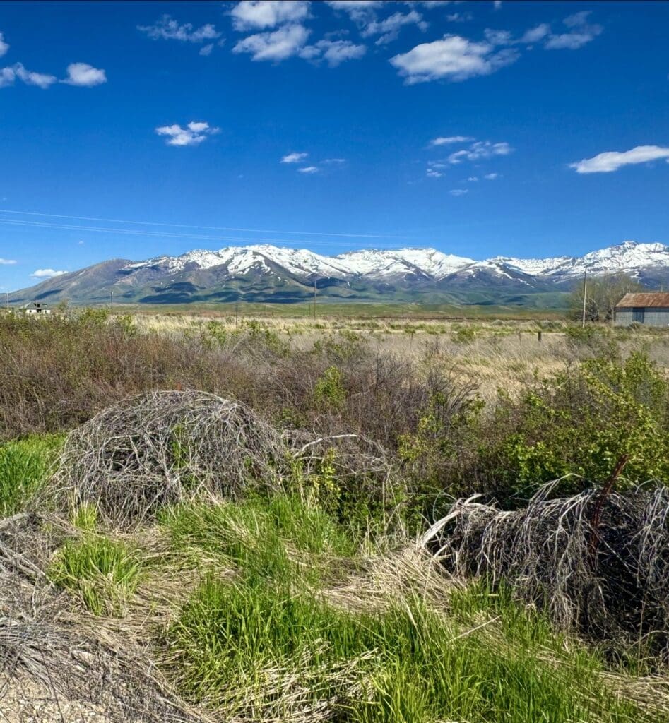 Large view of PREMIUM LOT IN DEETH, NEVADA ~ IN STARR VALLEY ON STARR LANE ~ SUPER RARE ~ EASY ACCESS OFF I-80 ~ NEAR WELLS Photo 9