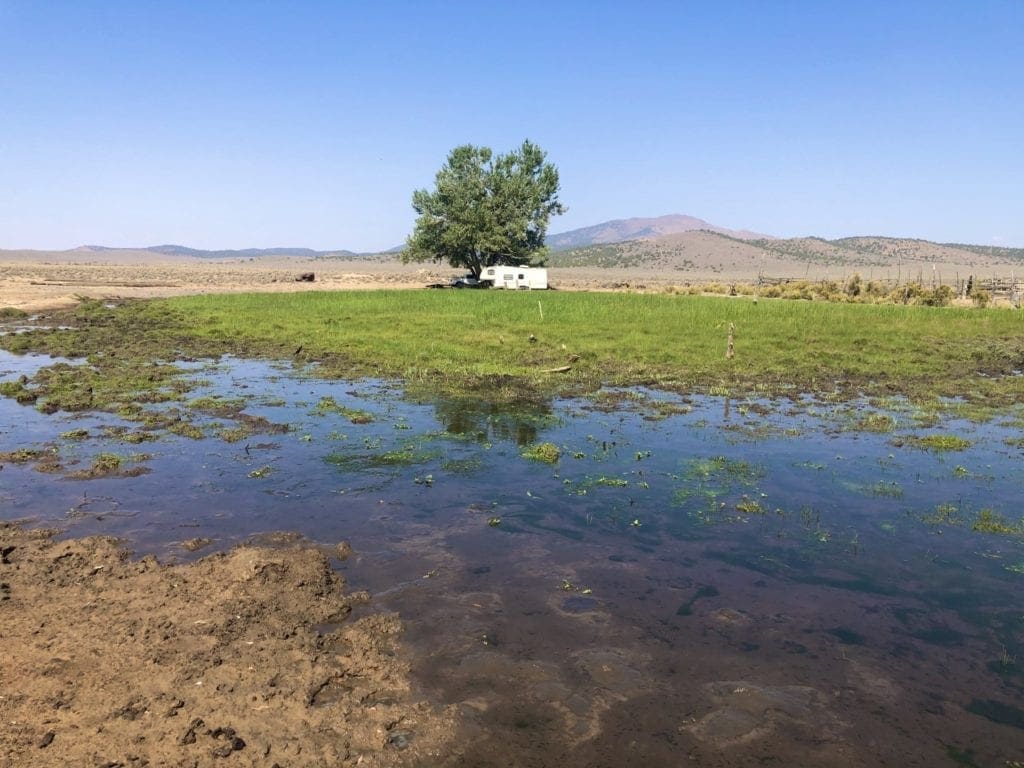 Large view of 0 SUPERIOR MILLSITE, SUR 37B ~HOT SPRINGS ~ New Pass Mining District ~ Artesian Well/HOT SPRING an Oasis in the Desert ~ Wild Horses ~ Big Game Photo 9