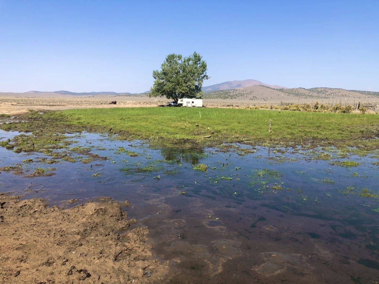 0 SUPERIOR MILLSITE, SUR 37B ~HOT SPRINGS ~ New Pass Mining District ~ Artesian Well/HOT SPRING an Oasis in the Desert ~ Wild Horses ~ Big Game photo 9