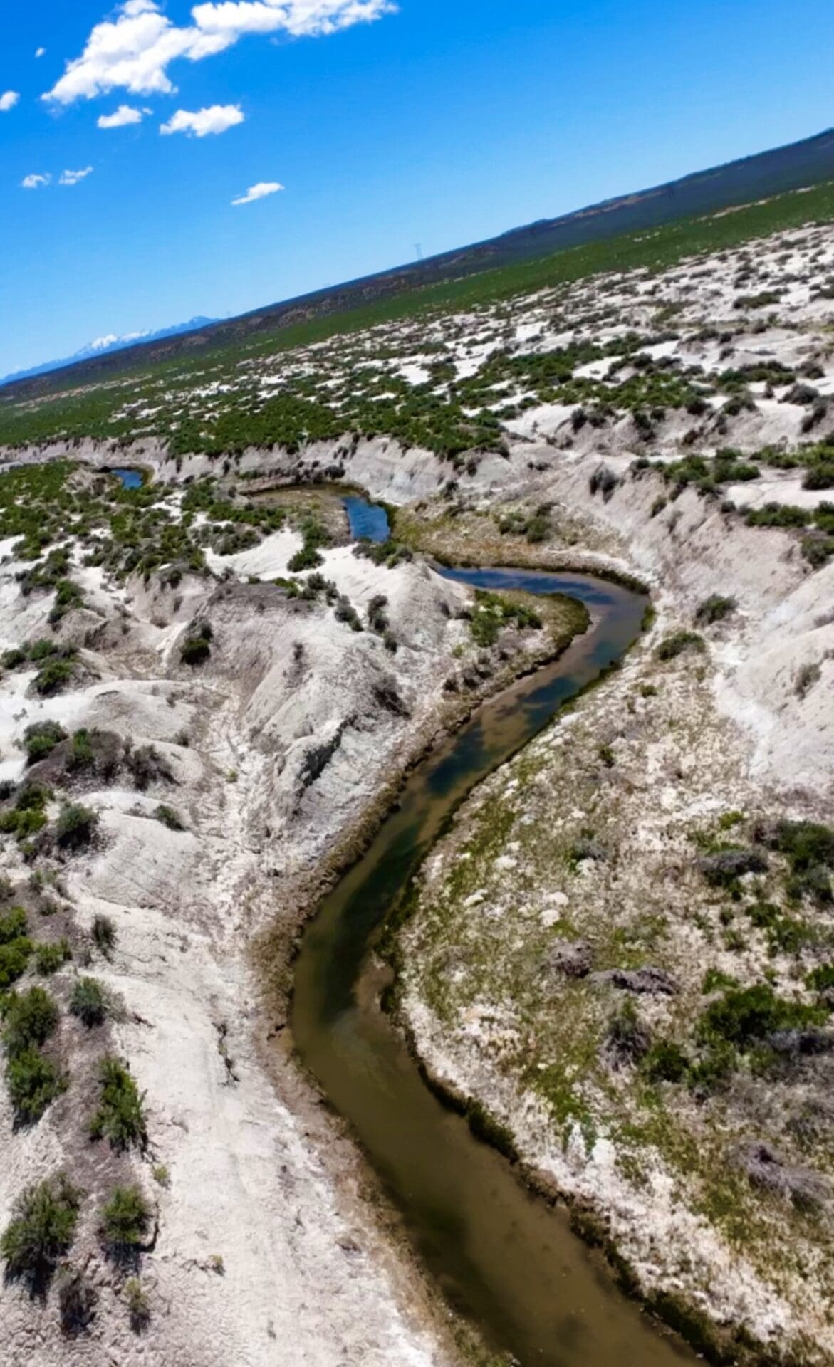 60.00 GORGEOUS ACRES IN PINE VALLEY, NEVADA WITH PINE CREEK RUNNING THU IT ~ ELK, DEER, ANTELOPE + MORE ~EXCLUSIVE AREA! photo 2