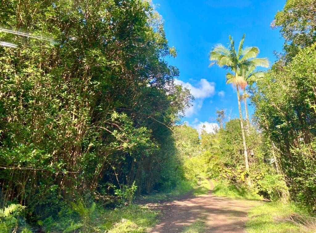 Large view of 7,750 SF LOT IN BEAUTIFUL BLACK SAND BEACH S/D, KIKALA KEOKEA, PUNA HAWAII ~ GORGEOUS BIG ISLAND OF HAWAII ~ NEAR BEACHES Photo 5