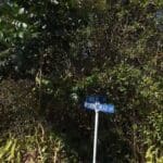 Thumbnail of 7,750 SF LOT IN BEAUTIFUL BLACK SAND BEACH S/D, KIKALA KEOKEA, PUNA HAWAII ~ GORGEOUS BIG ISLAND OF HAWAII ~ NEAR BEACHES Photo 2