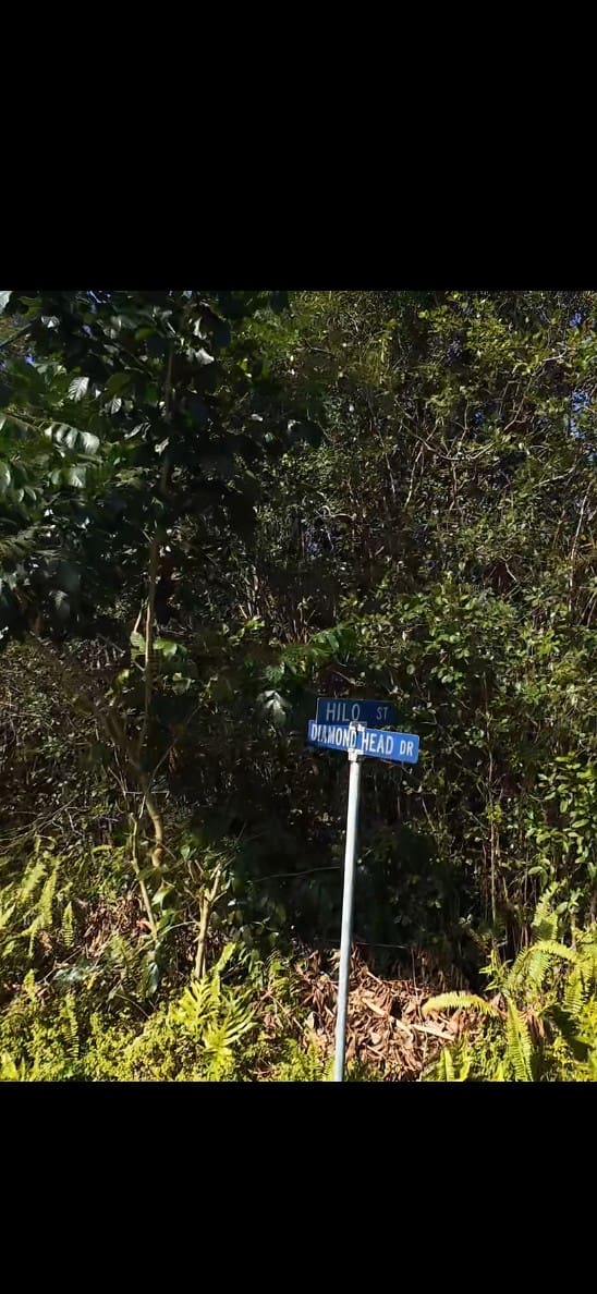 7,750 SF LOT IN BEAUTIFUL BLACK SAND BEACH S/D, KIKALA KEOKEA, PUNA HAWAII ~ GORGEOUS BIG ISLAND OF HAWAII ~ NEAR BEACHES photo 2