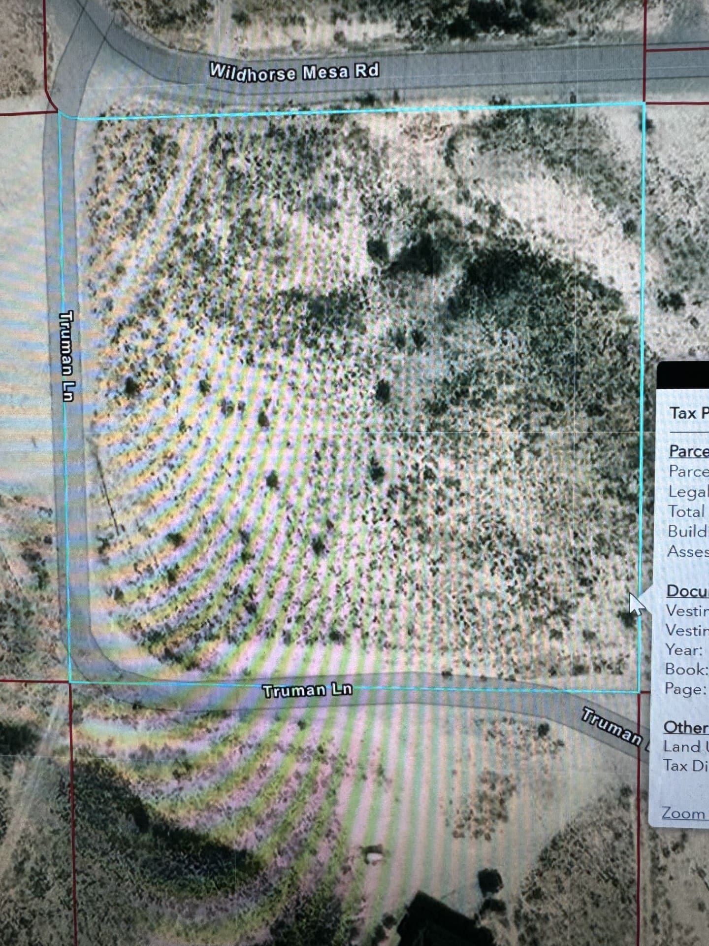 GORGEOUS BUILDING LOT IN BENNETT SPRINGS ON WILD HORSE MESA ROAD ~ LINCOLN COUNTY, NEVADA ~ NEAR LAS VEGAS photo 2