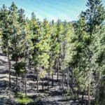 Thumbnail of 1.50 ACRES IN GILPIN CO, COLORADO ~ TWO MINES MC INTOSH 50% 1.5 ACRES (UND 1/2) HAWKEYE Photo 2