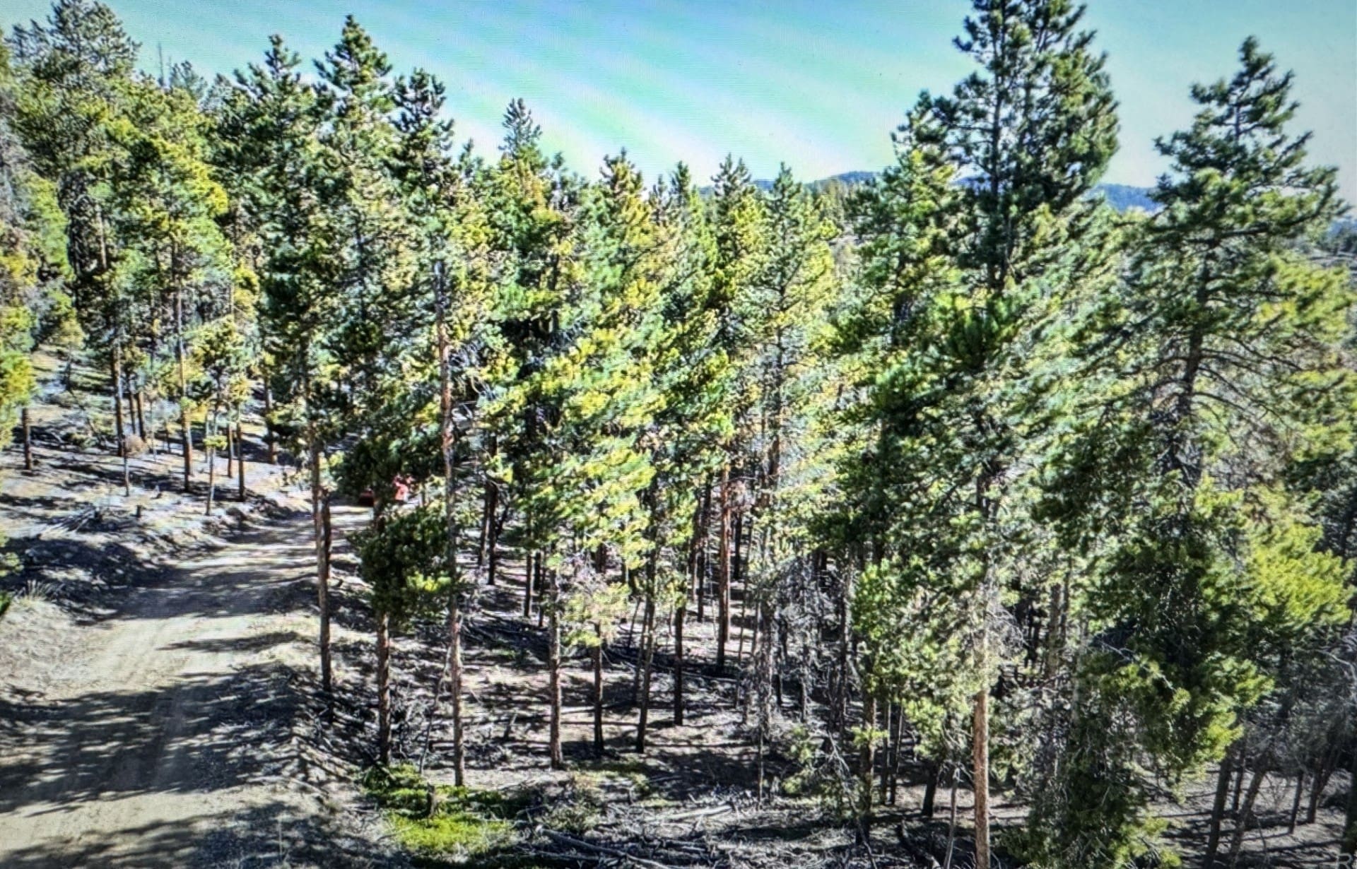 1.50 ACRES IN GILPIN CO, COLORADO TWO MINES MC INTOSH 50 1.5 ACRES