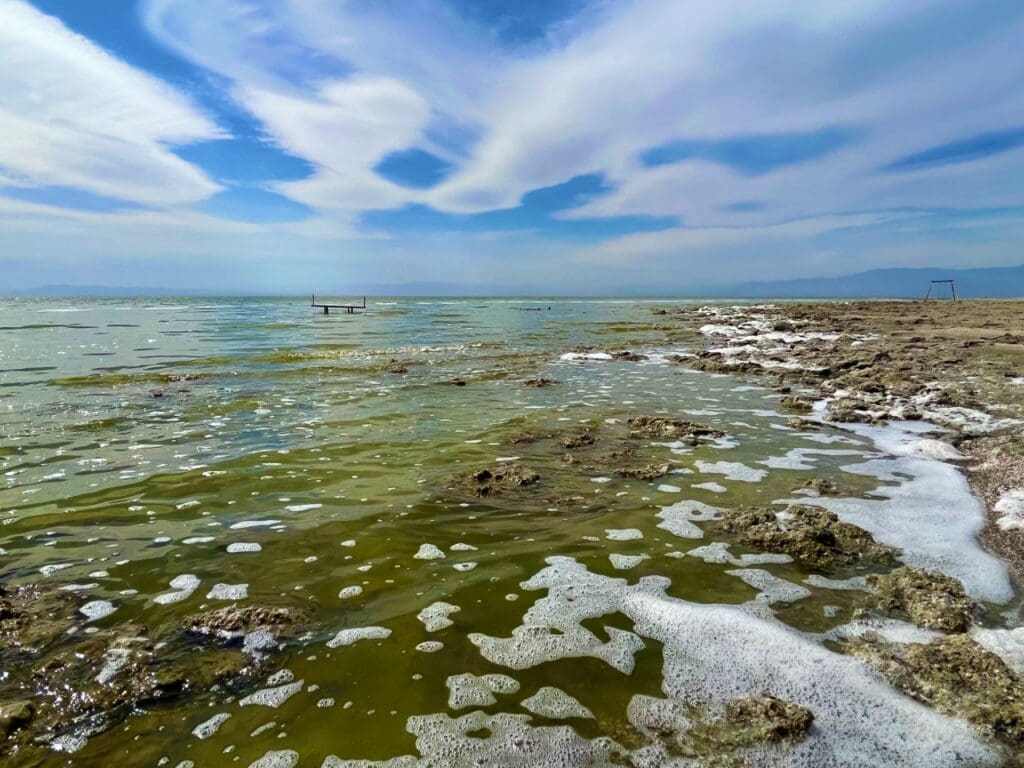 Large view of .12 ACRE IN SUNNY SOUTHERN CALIFORNIA BOMBAY BEACH FRONT PROPERTY ~SALTON SEA~CALLING ALL ARTISTS Photo 8