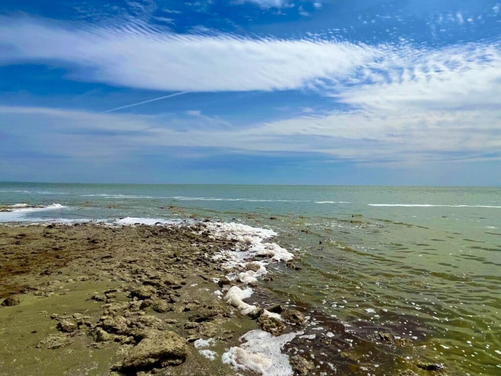 10.00 ACRES IN BEAUTIFUL SUNNY SOUTHERN CALIFORNIA NEAR PALM SPRINGS AND SALTON SEA. photo 4