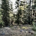 Thumbnail of .12 ACRE IN SUNNY SOUTHERN CALIFORNIA BOMBAY BEACH FRONT PROPERTY ~SALTON SEA~CALLING ALL ARTISTS Photo 5