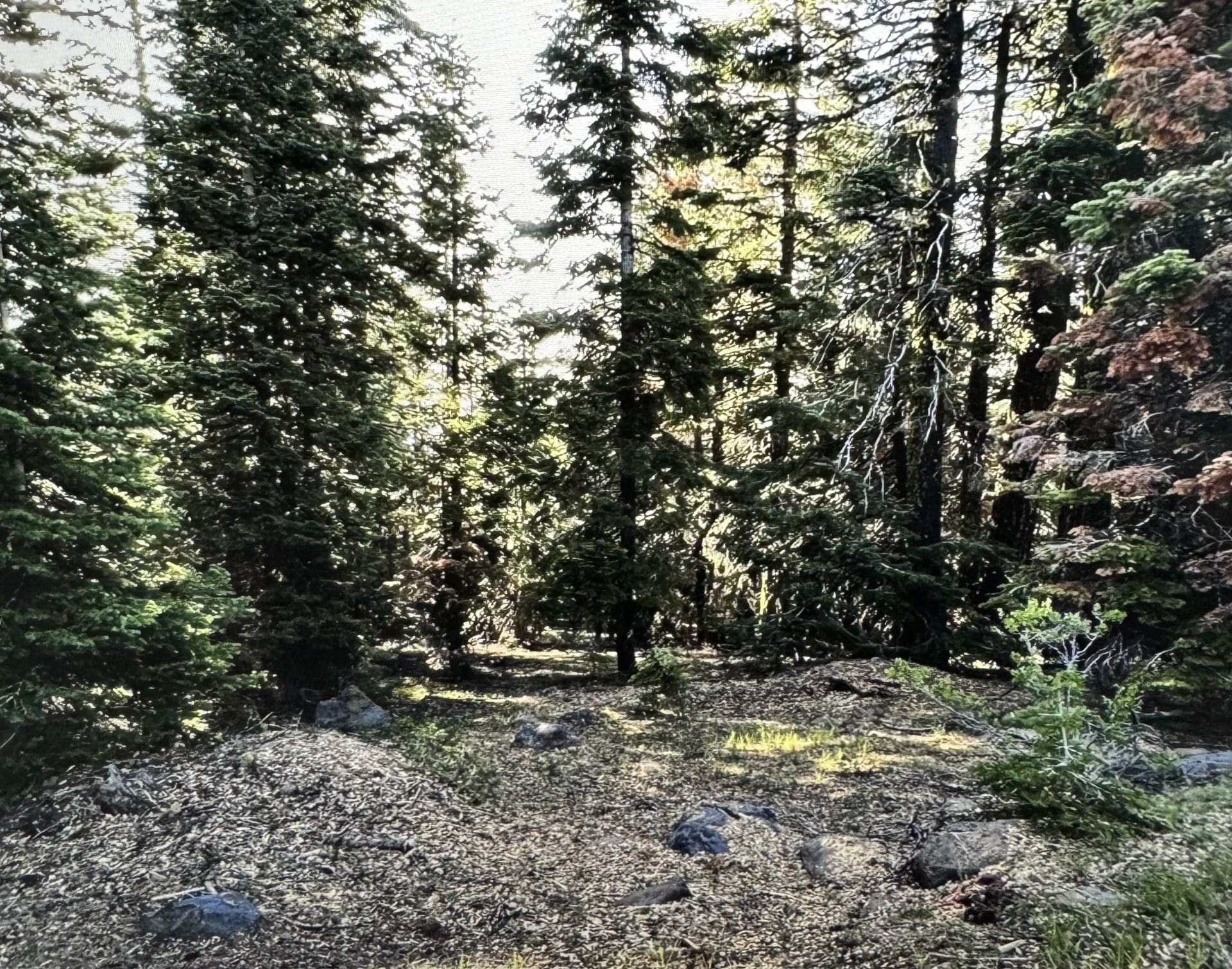 .12 ACRE IN SUNNY SOUTHERN CALIFORNIA BOMBAY BEACH FRONT PROPERTY ~SALTON SEA~CALLING ALL ARTISTS photo 5