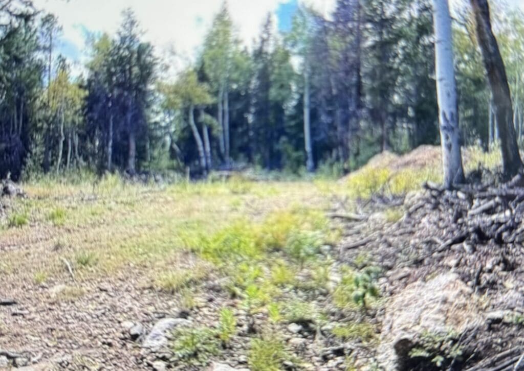 Large view of 5.16 ACRES IN BLACK HAWK~GILPIN COUNTY, COLORADO, TIMBERED & ROAD ~ BIG GAME ~ MINING CLAIM “ST. JAMES”-GOLD Photo 11