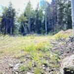 Thumbnail of 5.16 ACRES IN BLACK HAWK~GILPIN COUNTY, COLORADO, TIMBERED & ROAD ~ BIG GAME ~ MINING CLAIM “ST. JAMES”-GOLD Photo 11