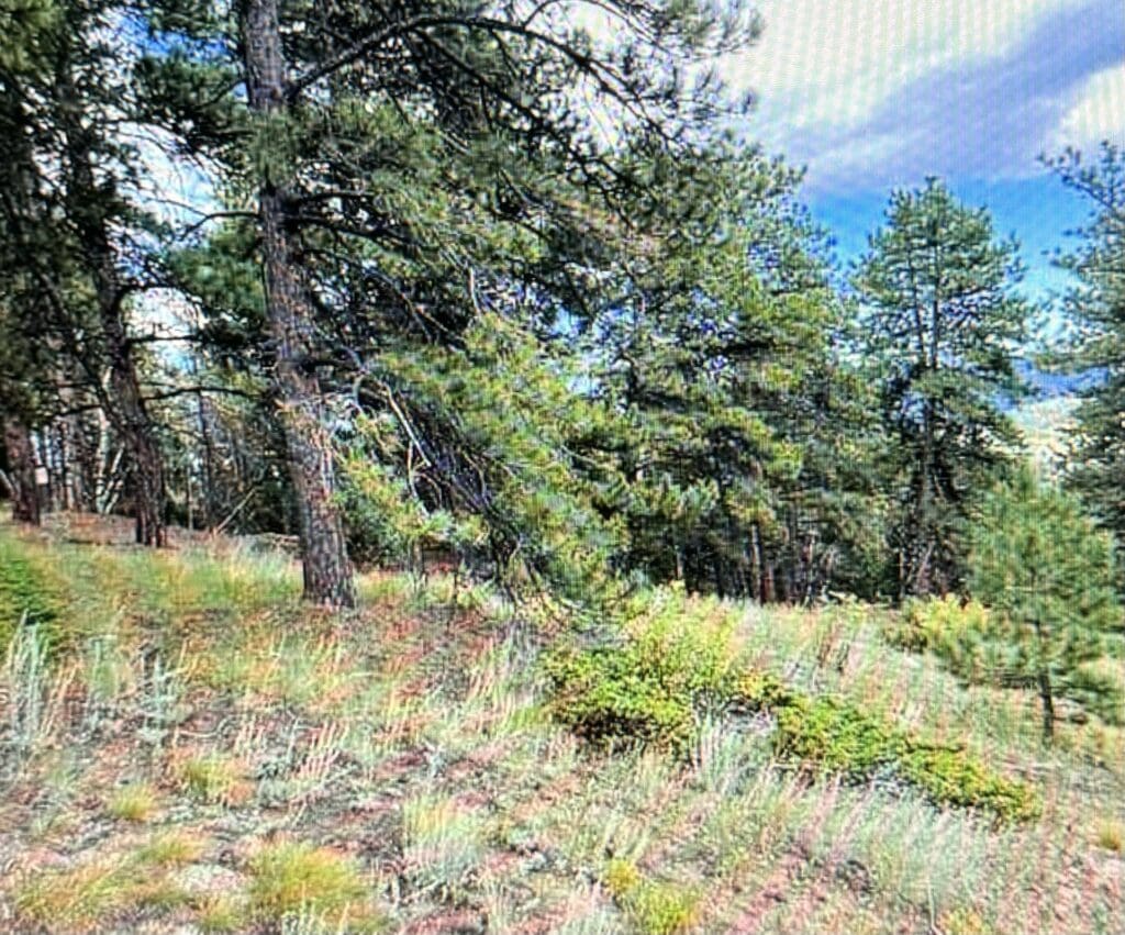 Large view of 5.16 ACRES IN BLACK HAWK~GILPIN COUNTY, COLORADO, TIMBERED & ROAD ~ BIG GAME ~ MINING CLAIM “ST. JAMES”-GOLD Photo 3