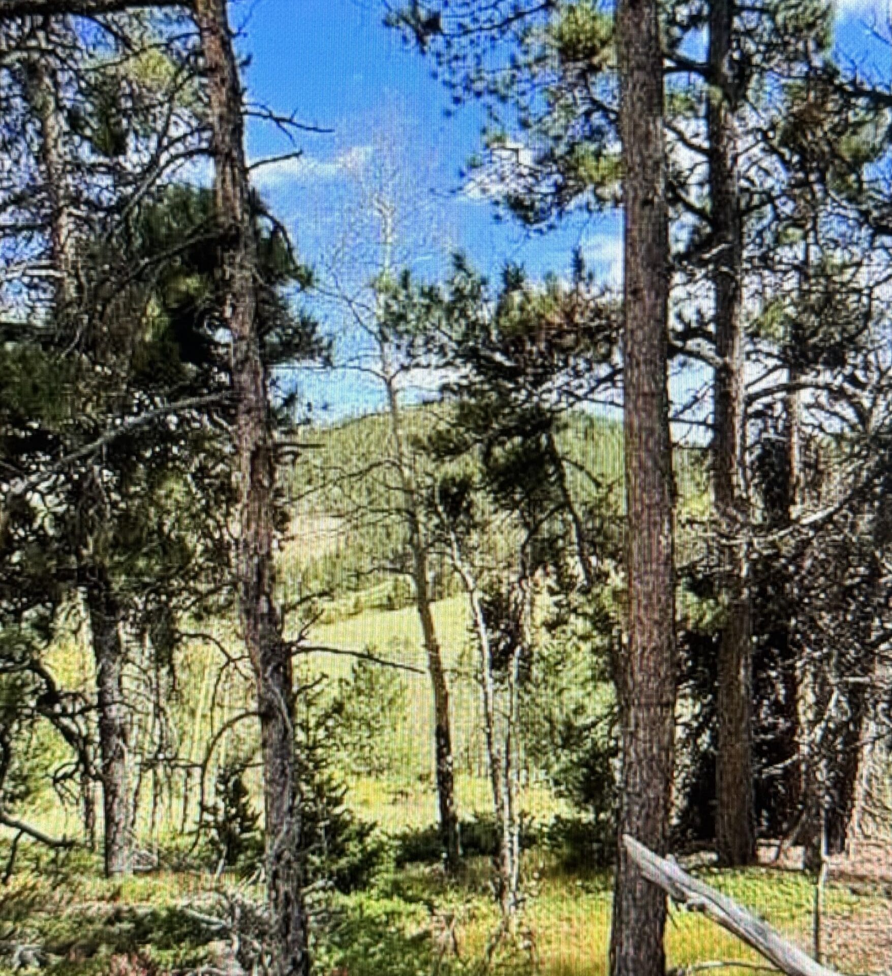 5.16 ACRES IN BLACK HAWKGILPIN COUNTY, COLORADO, TIMBERED & ROAD BIG GAME MINING CLAIM “ST