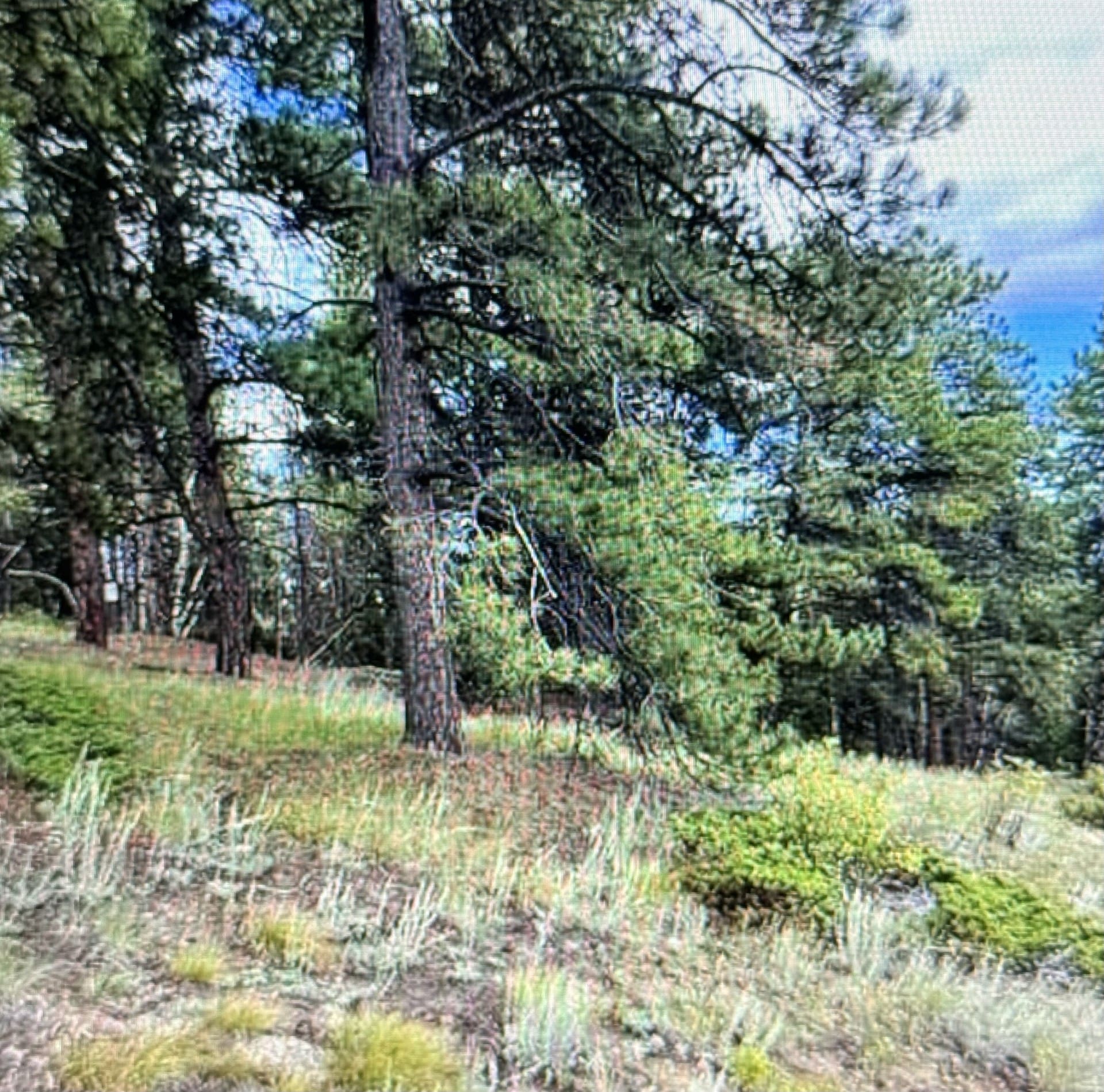 5.16 ACRES IN BLACK HAWK~GILPIN COUNTY, COLORADO, TIMBERED & ROAD ~ BIG GAME ~ MINING CLAIM “ST. JAMES”-GOLD photo 7