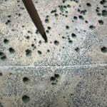 Thumbnail of GORGEOUS TREED LOT IN THE FAMOUS PITT RIVER AREA OF NORTHERN CALFORNIA ~ WORLD CLASS FISHING ~ NEAR OREGON & NEVADA Photo 7