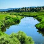 Thumbnail of GORGEOUS TREED LOT IN THE FAMOUS PITT RIVER AREA OF NORTHERN CALFORNIA ~ WORLD CLASS FISHING ~ NEAR OREGON & NEVADA Photo 2