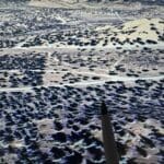 Thumbnail of 1.47 ACRES IN BEAUTIFUL NORTHERN CALIFORNIA JUST NORTH OF ALTURAS WITH POWER AND TIMBER. Photo 7