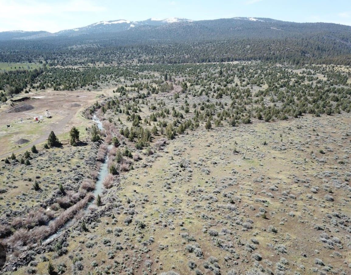 30.00 ACRES ~ GORGEOUS NORTHERN CALIFORNIA TIMBERED MOUNTAIN LAND IN MODOC COUNTY NEAR OREGON & NEVADA photo 5