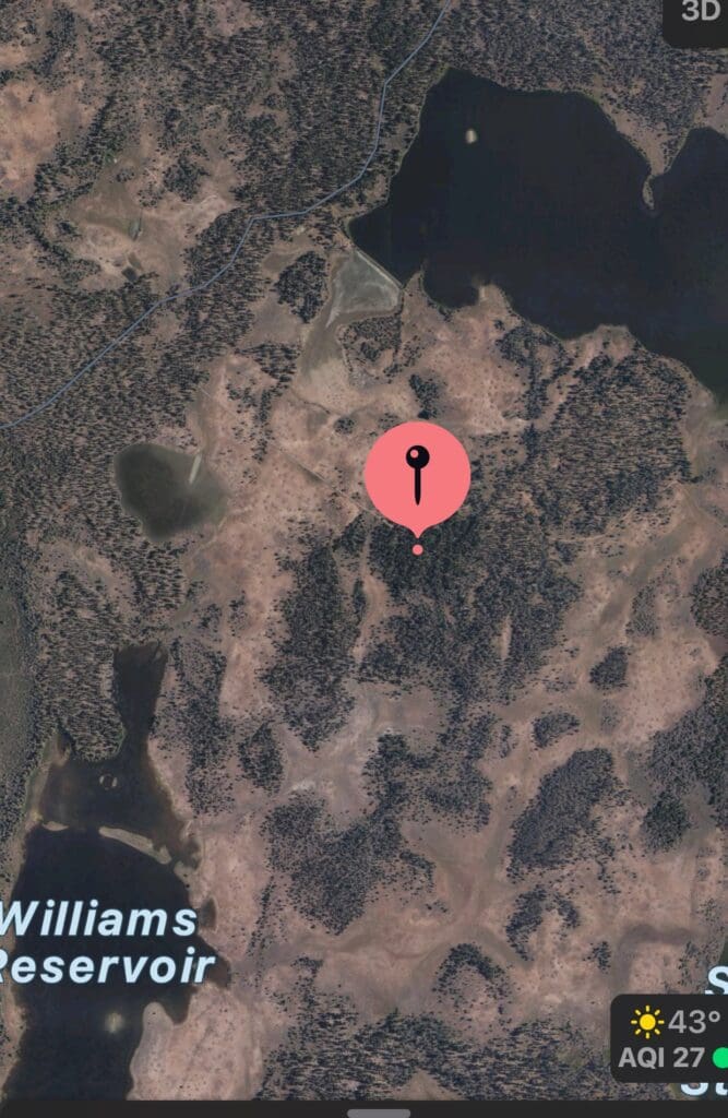 Large view of 30.00 ACRES ~ GORGEOUS NORTHERN CALIFORNIA TIMBERED MOUNTAIN LAND IN MODOC COUNTY NEAR OREGON & NEVADA Photo 7