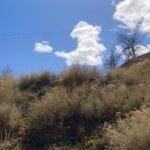 Thumbnail of .09 Acres ~ Two Lots in the Old West Town of Austin, Nevada ~ Power with Paved Road Frontage ~ Town Lights Views Photo 14
